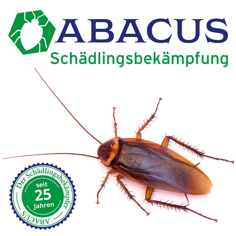 ABACUS - Schädlingsbekämpfer  Ihr Kammerjäger für alle Notfälle